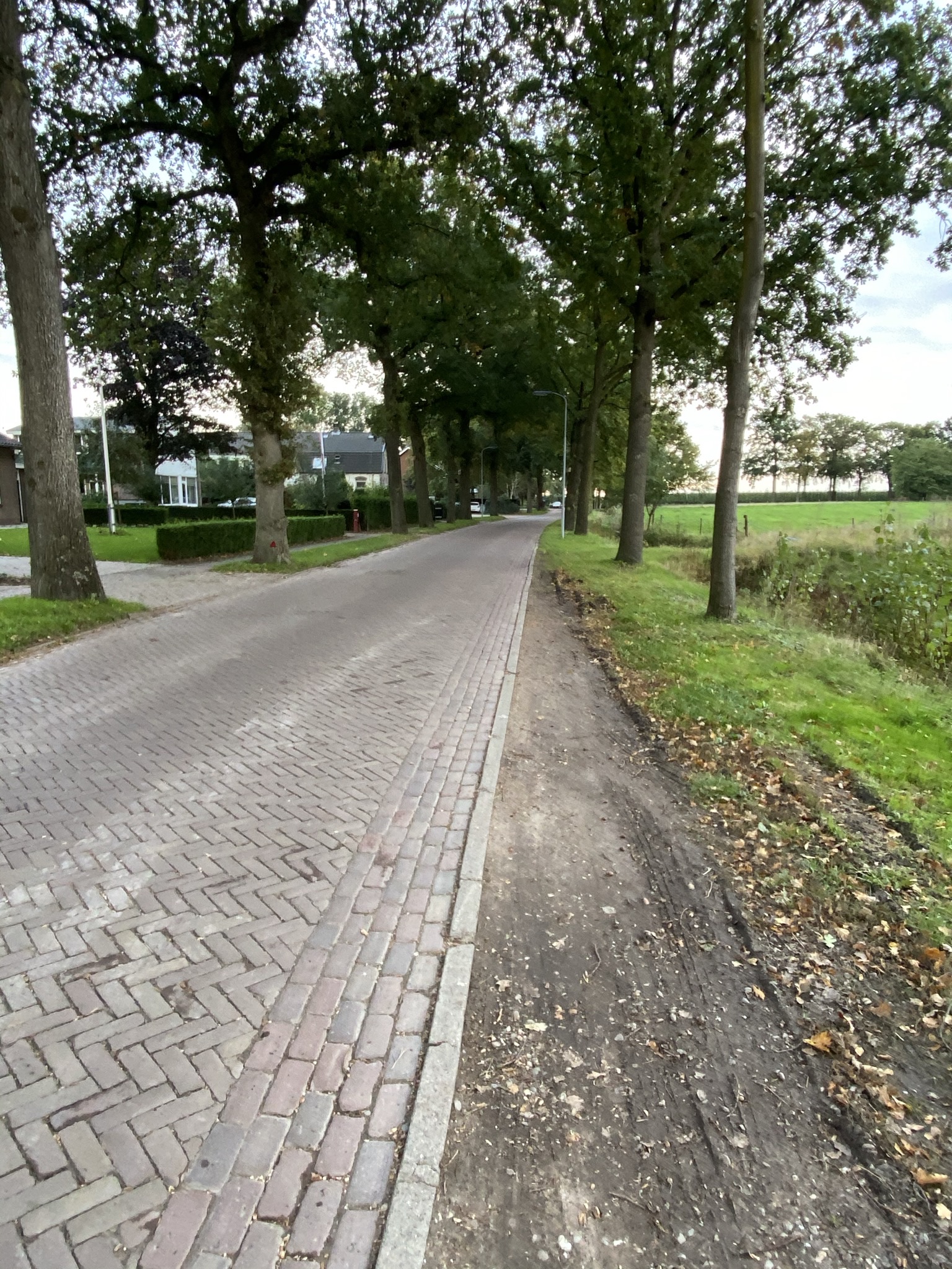 Familie Beekhuizen