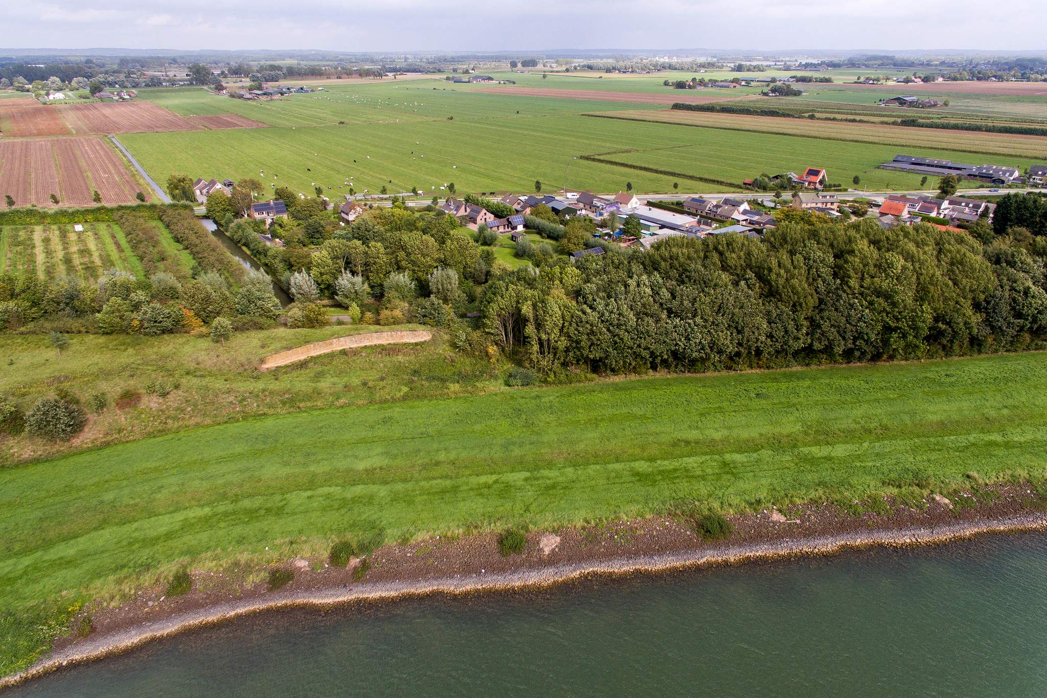 Familie Beekhuizen
