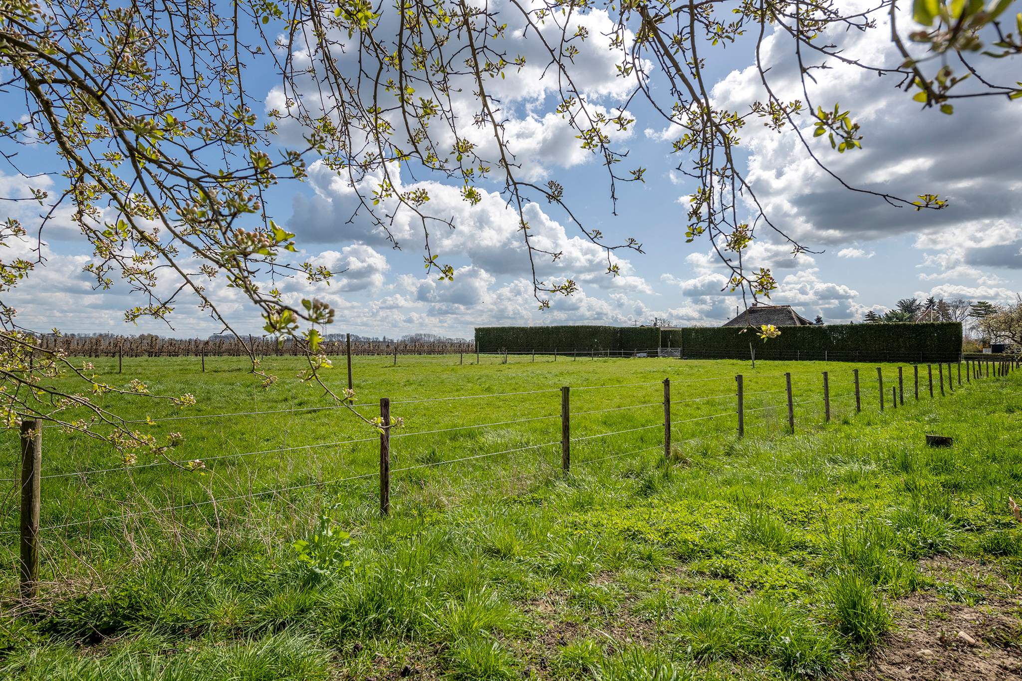Familie Beekhuizen